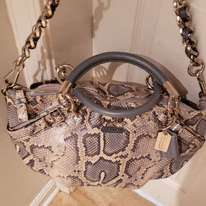 Coach (snakeskin bag)